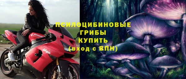прущая мука Абаза