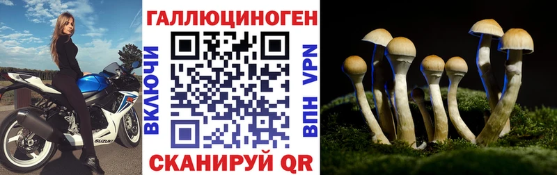 даркнет формула  Нестеров  Псилоцибиновые грибы MAGIC MUSHROOMS  мега ТОР 